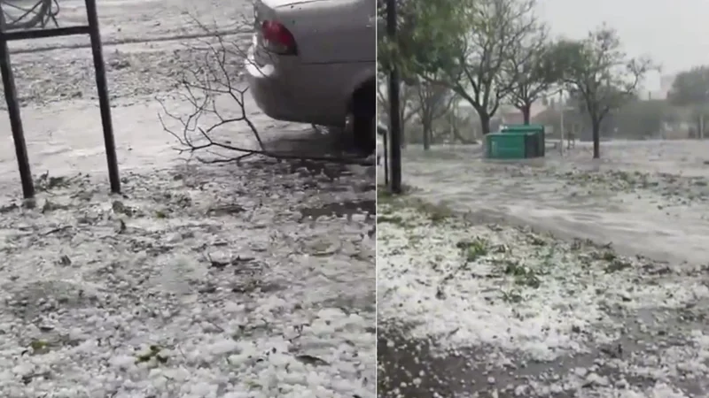 Cómo fue la caída de granizo en Bahía Blanca y qué daños se registraron en la ciudad. Videos de la caída de granizo en Bahía Blanca de este domingo. 