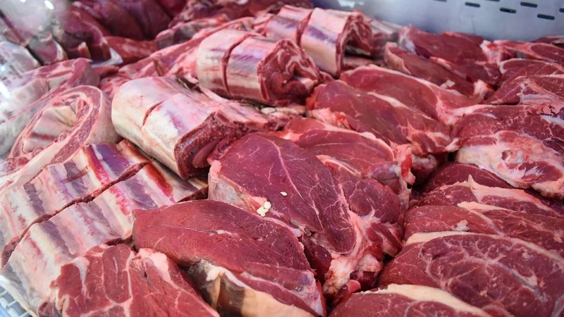 Carne