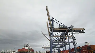 Exportaciones de Colombia suben levemente en diciembre, pero acumulan saldo en rojo durante el 2024 Exportaciones de Colombia suben levemente en diciembre, pero acumulan saldo en rojo durante el 2024