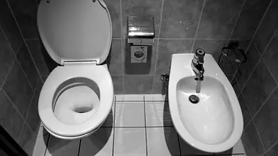 Inodoro junto a bidet. Inodoro junto a bidet.