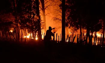Incendios en el Bolsón: el juez liberó a los 6 detenidos por falta de pruebas | Incendio en el bolsón 
