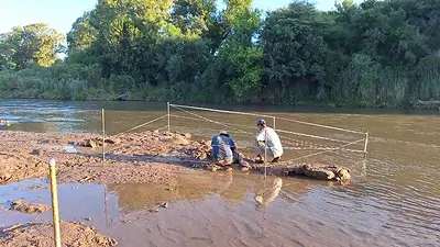 Un estudiante se metió al río en Córdoba y descubrió los restos de un gliptodonte, un mamífero extinto hace 10 mil años Un estudiante se metió al río en Córdoba y descubrió los restos de un gliptodonte, un mamífero extinto hace 10 mil años