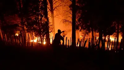 Incendios en la Patagonia: impactante alerta de vecinos de Neuquén que evitó otra tragedia Incendios en la Patagonia: impactante alerta de vecinos de Neuquén que evitó otra tragedia