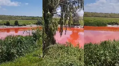 Arroyo Sarandí rojo. Arroyo Sarandí rojo.