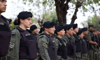 El Gobierno de Milei oficializó la nueva cúpula de las Fuerzas Armadas: quiénes son | Fuerzas armadas