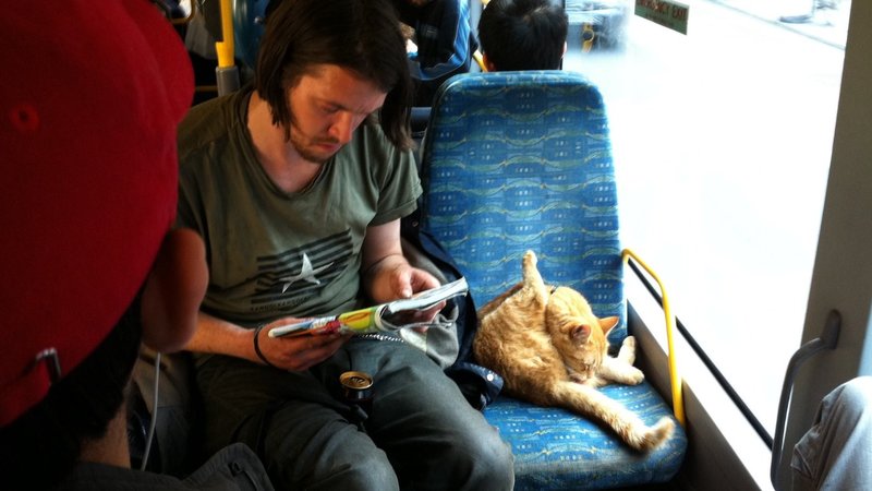 Joven y un gato en un micro.