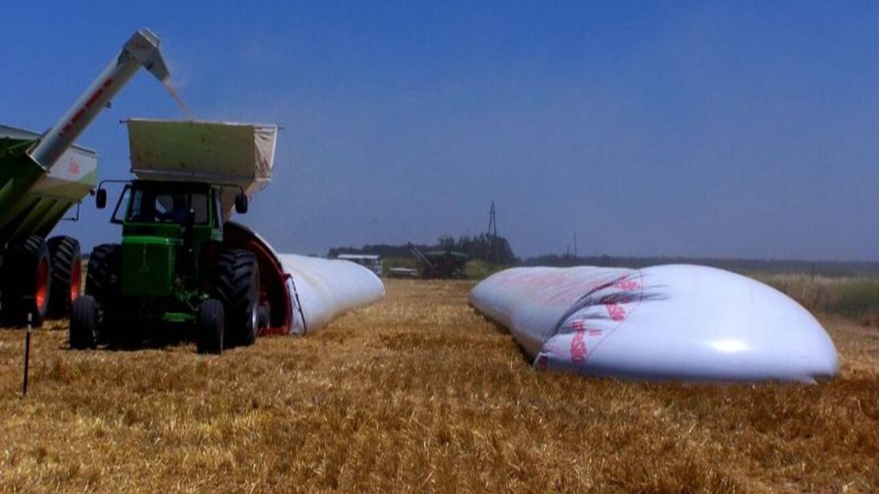 Pulseada entre el campo y el Gobierno: los sojeros todavía retienen 6.700 millones de dólares en granos sin vender