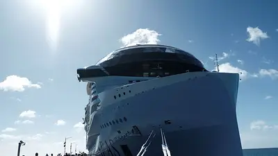 Decenas de personas enferman a bordo de un crucero de Royal Caribbean Decenas de personas enferman a bordo de un crucero de Royal Caribbean