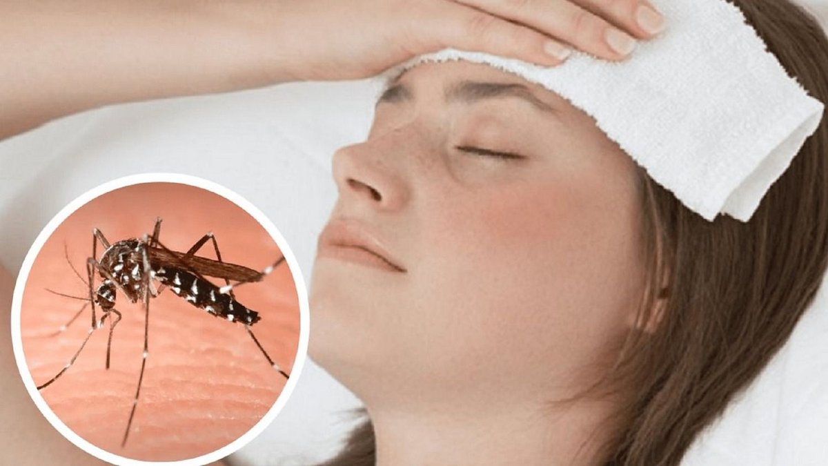 Confirman quinto caso de dengue no autóctono en La Rioja: un menor ...