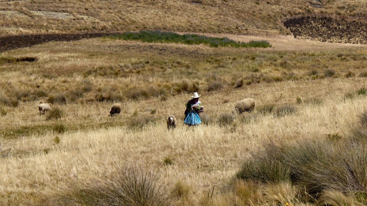  raíces-de-los-pueblos-originarios