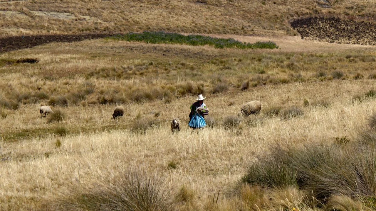  raíces-de-los-pueblos-originarios