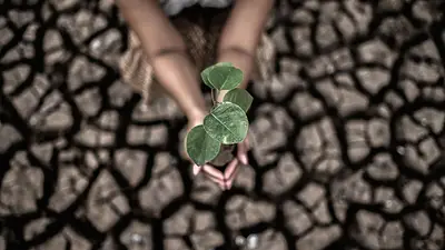 Cambio climático. Cambio climático.