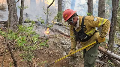Incendios en el Bolsón: "Se perdieron más de 120 viviendas" Incendios en el Bolsón: "Se perdieron más de 120 viviendas"