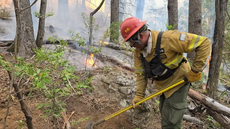 Incendios en el Bolsón: "Se perdieron más de 120 viviendas"