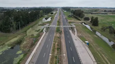 Ruta Ruta