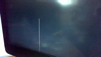 televisores, televisor, led, gato televisores, televisor, led, gato