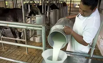 El ajuste en el campo: los trabajadores producen los alimentos que ya no pueden comprar | Crisis económica