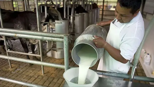 El ajuste en el campo: los trabajadores producen los alimentos que ya no pueden comprar | Crisis económica