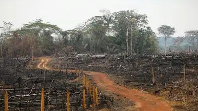 70 millones de USAID para proyectos ambientales en Colombia están congelados: ministra de Ambiente 70 millones de USAID para proyectos ambientales en Colombia están congelados: ministra de Ambiente