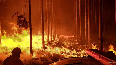 Incendios en Corrientes: avanza el fuego y ya se quemaron casi 100 mil hectáreas Incendios en Corrientes: avanza el fuego y ya se quemaron casi 100 mil hectáreas