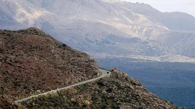 Camino Camino