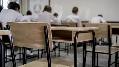 Escuelas de verano: cómo funciona la iniciativa riojana para reforzar el sistema educativo Escuelas de verano: cómo funciona la iniciativa riojana para reforzar el sistema educativo