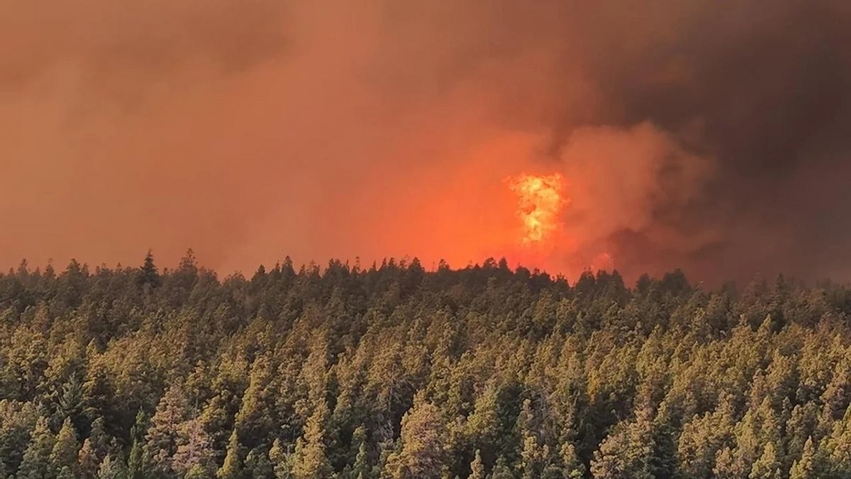 INCENDIOS en la PATAGONIA: el FUEGO avanza SIN CONTROL en el Parque ...