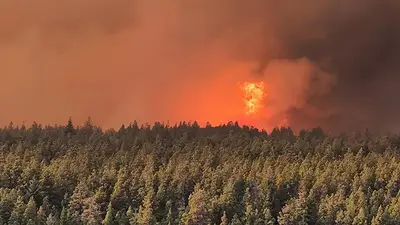 Incendios en la Patagonia: el fuego avanza sin control en el Parque Nacional Lanín y Nahuel Huapi Incendios en la Patagonia: el fuego avanza sin control en el Parque Nacional Lanín y Nahuel Huapi