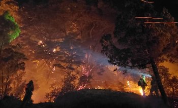 Milei eliminó el Fondo del Manejo del Fuego y otros financiamientos claves | Javier milei presidente