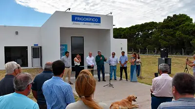 Crece el empleo en Buenos Aires: los detalles del proyecto para reducir costos y potenciar el sector ovino Crece el empleo en Buenos Aires: los detalles del proyecto para reducir costos y potenciar el sector ovino