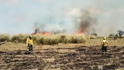 Incendios en Santa Fe: bomberos trabajan intensamente para controlar el fuego en Cacique Ariacaiquín Incendios en Santa Fe: bomberos trabajan intensamente para controlar el fuego en Cacique Ariacaiquín