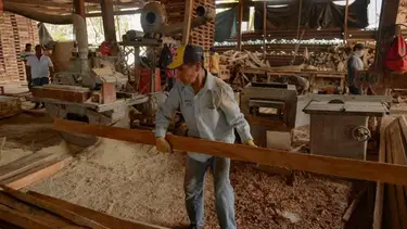 La principal maderera de Corrientes paraliza su actividad y suspende a 520 trabajadores
