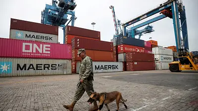 Congelamiento de ayuda de Trump trastoca programa antidrogas en puertos mexicanos Congelamiento de ayuda de Trump trastoca programa antidrogas en puertos mexicanos