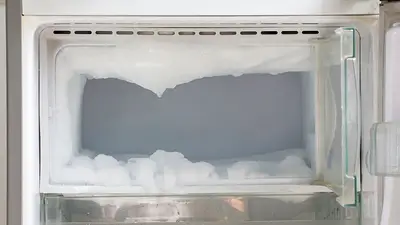 heladera, congelador, freezer, comida, comida congelada, hielo heladera, congelador, freezer, comida, comida congelada, hielo