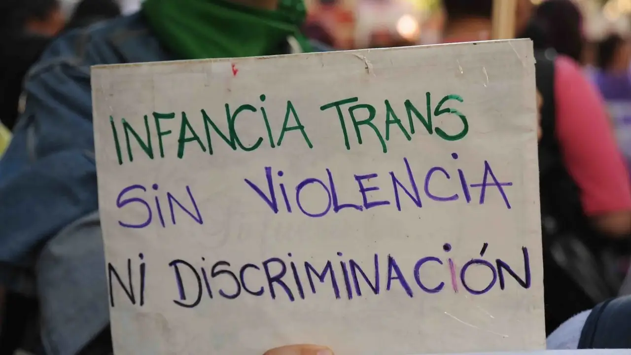 "Nos condenan a vivir con un cuerpo que no nos representa": las historias de adolescentes trans que Milei quiere borrar