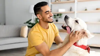Dueño y mascota Dueño y mascota