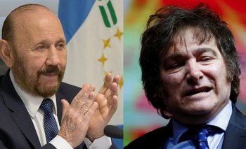 Milei reconoció que Formosa es de las jurisdicciones con menor impuestos | Impuestos