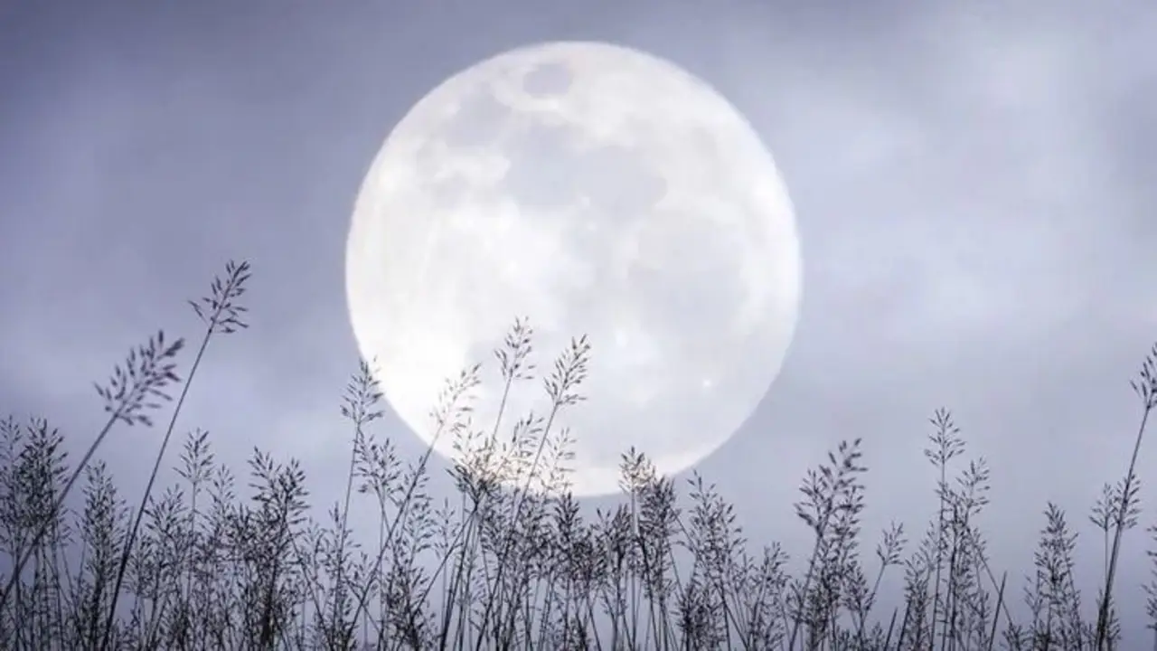 La Luna de Nieve 2026 iluminará el cielo el 1° de febrero: cuándo y cómo verla, de dónde proviene su nombre y los mejores consejos para observarla.