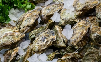 El animal que fue especie invasora y ahora es un gran recurso productivo | Animales