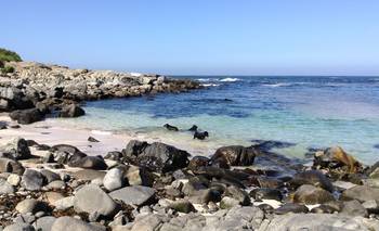 Furor por el "Caribe" chileno de aguas cristalinas que pocos conocen | Escapadas