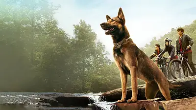 Tiene más de 10 años, está en el top 5 de Netflix y es ideal para arrancar la semana Tiene más de 10 años, está en el top 5 de Netflix y es ideal para arrancar la semana