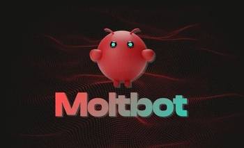 Instalá y configurá Moltbot en 5 pasos sencillos | Inteligencia artificial