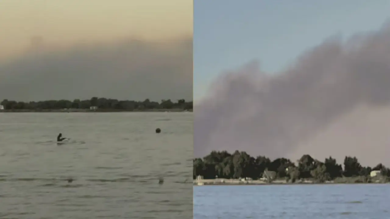 Incendios en Paraná: el fuego vuelve a encender las alarmas y la crisis ambiental en el Día de los Humedales