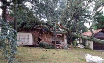 Un minitornado azotó a la Costa Atlántica y causó destrozos | Clima