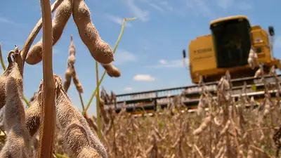 Formosa abre la cosecha de soja 2025/26 y consolida su crecimiento productivo con el primer envío a Rosario Formosa abre la cosecha de soja 2025/26 y consolida su crecimiento productivo con el primer envío a Rosario