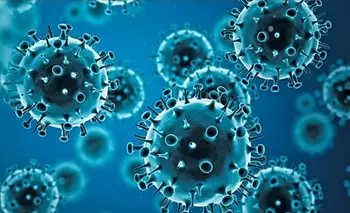 La gripe que no se cura: qué hay detrás de los cuadros largos y las “reinfecciones” | Enfermedades