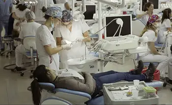 Devolver sonrisas: así es el trabajo de Odontología de la UBA | Universidades