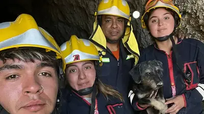 Heroico rescate de un perro: estuvo atrapado cuatro días en una mina neuquina y ocho personas lo salvaron Heroico rescate de un perro: estuvo atrapado cuatro días en una mina neuquina y ocho personas lo salvaron