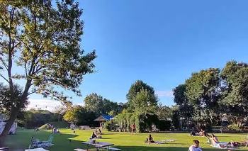 El imponente pulmón verde a sólo una hora del Microcentro porteño, ¿cómo llegar? | Escapadas