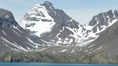 Está cerca de las Islas Malvinas y es el refugio más remoto de 12 mil pingüinos rey Está cerca de las Islas Malvinas y es el refugio más remoto de 12 mil pingüinos rey